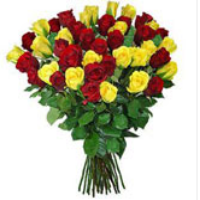 10 Off Code Pickup Flowers Coupons And S By Atkins Farms Florist In Amherst Flower Delivery This Collection Of Flowers Will Surely Brighten Anyone 39 S Day